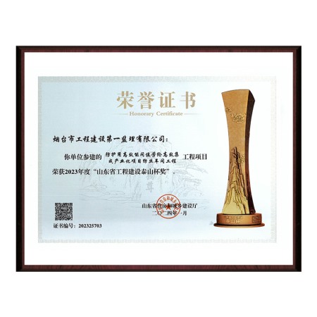 “防護(hù)項(xiàng)目紡絲車(chē)間工程”2023年山東省工程建設(shè)泰山杯獎(jiǎng)